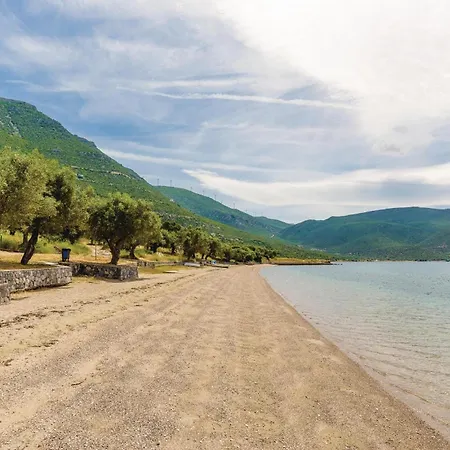 Seafront Skroponeria